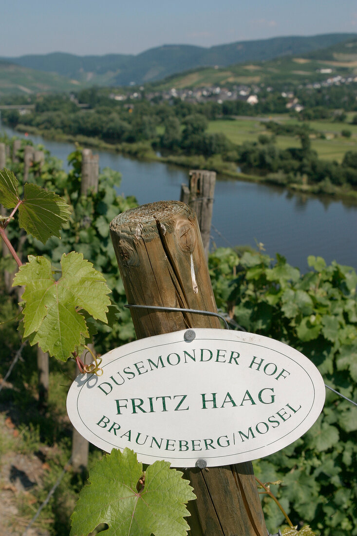 Fritz Haag Weingut in Brauneberg Rheinland-Pfalz Rheinland Pfalz