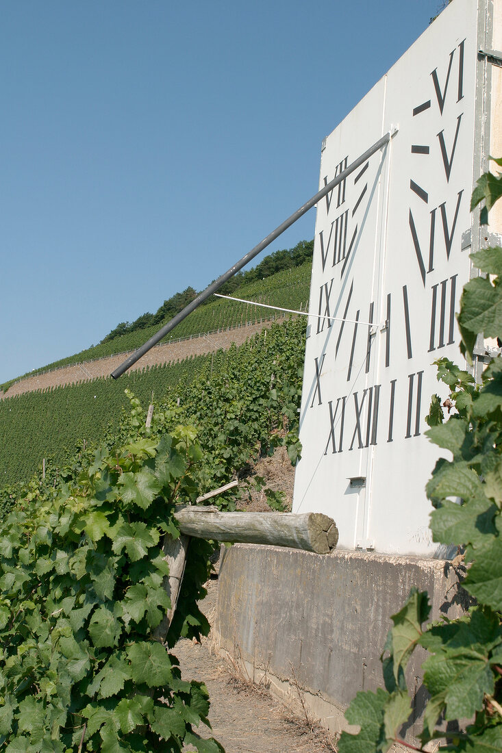 Fritz Haag Weingut in Brauneberg Rheinland-Pfalz Rheinland Pfalz