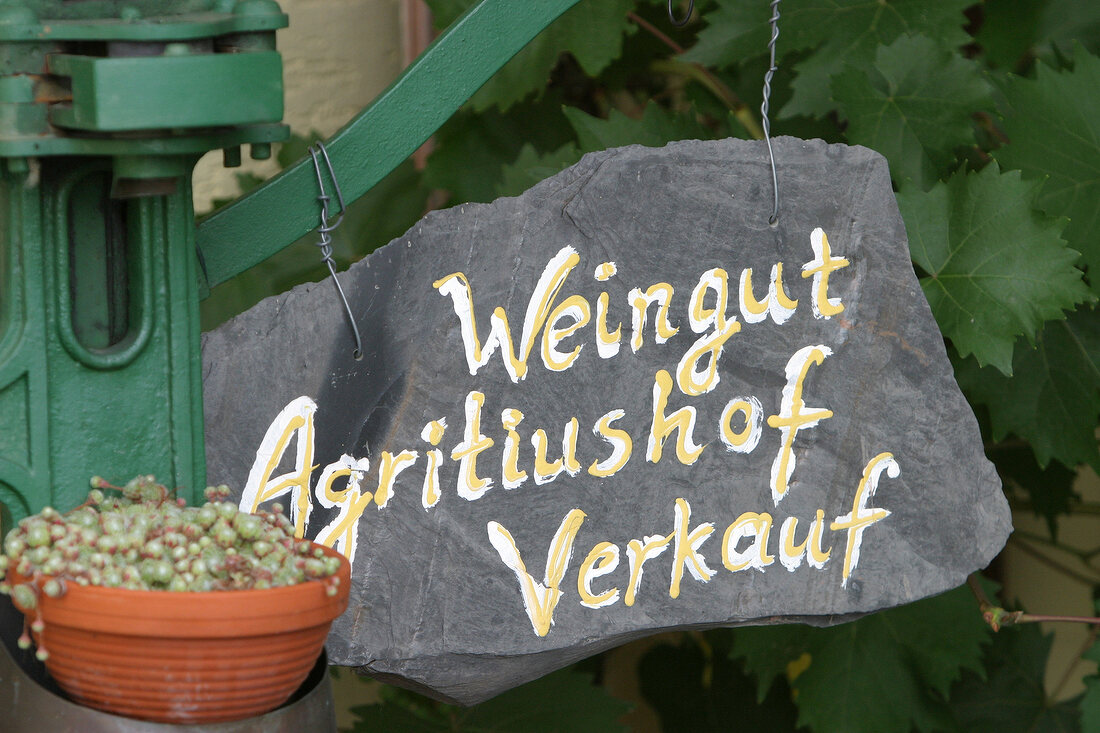 Agritiushof Weingut in Konz Rheinland-Pfalz Rheinland Pfalz