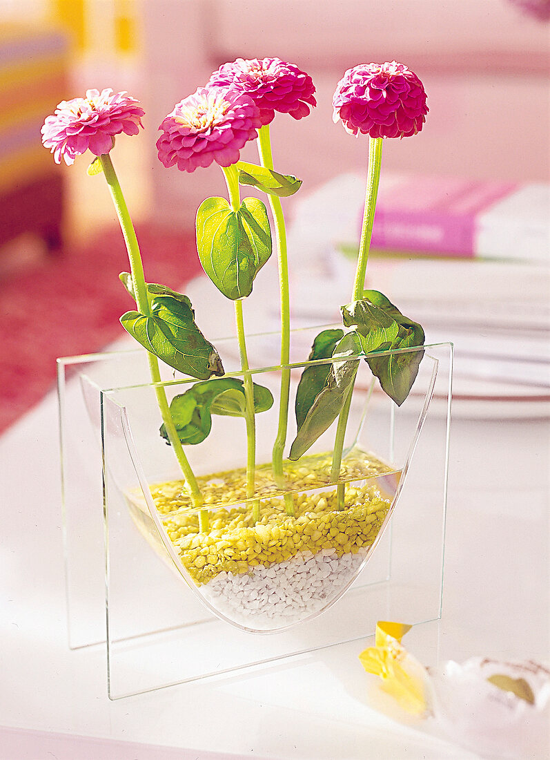 Glasvase mit farbigem Granulat und Blumen
