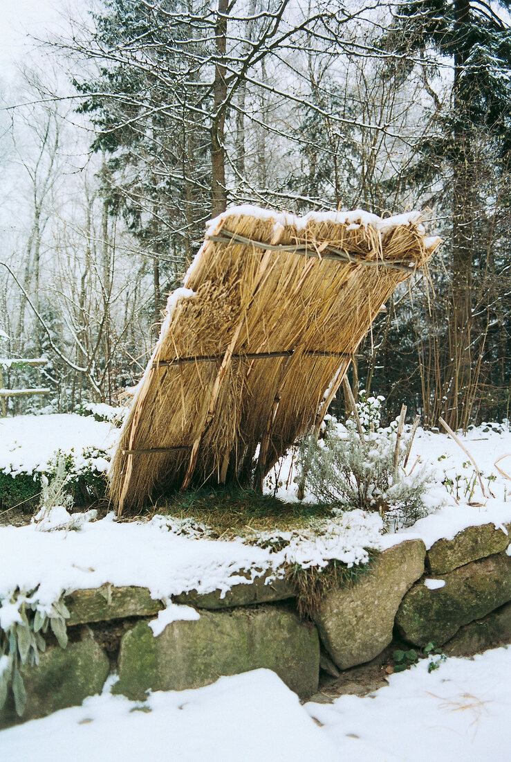 Dacb aus Gras in Haselruten 