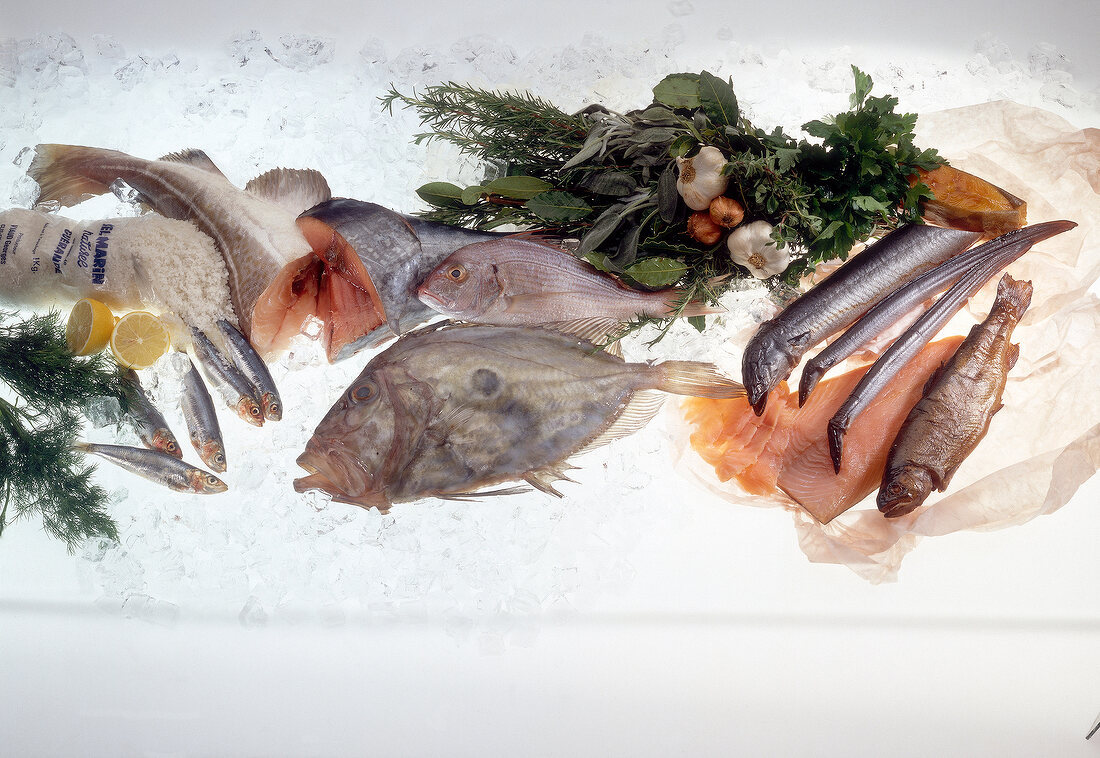 Different types of raw fishes on white background