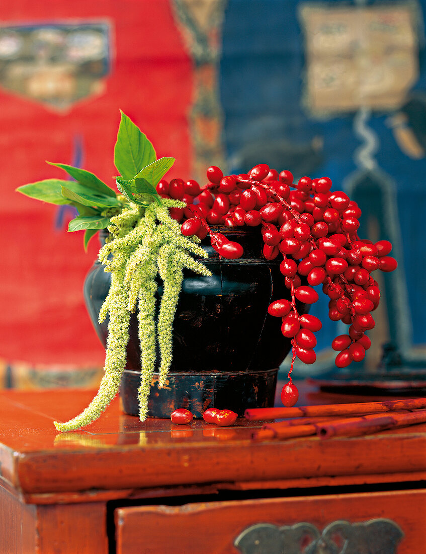 Rote Beeren einer Zierdattel neben grünen Rispenblüten der Amaranthus