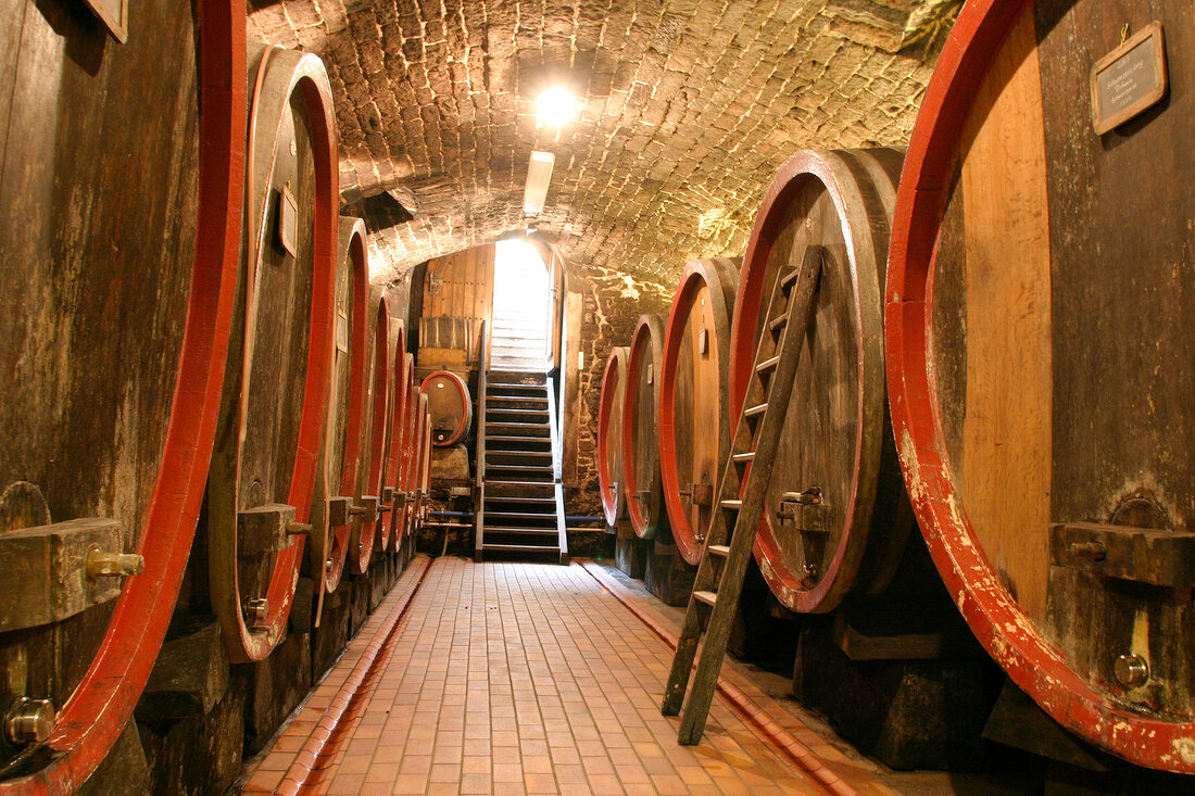 Wilhelm Gabel Weingut in Herxheim Rheinland-Pfalz Rheinland Pfalz