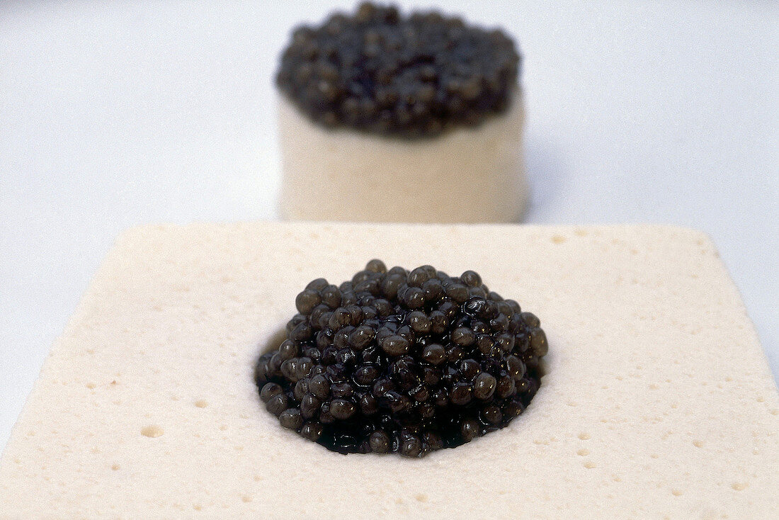 Close-up of parfait with beluga caviar from sturgeon