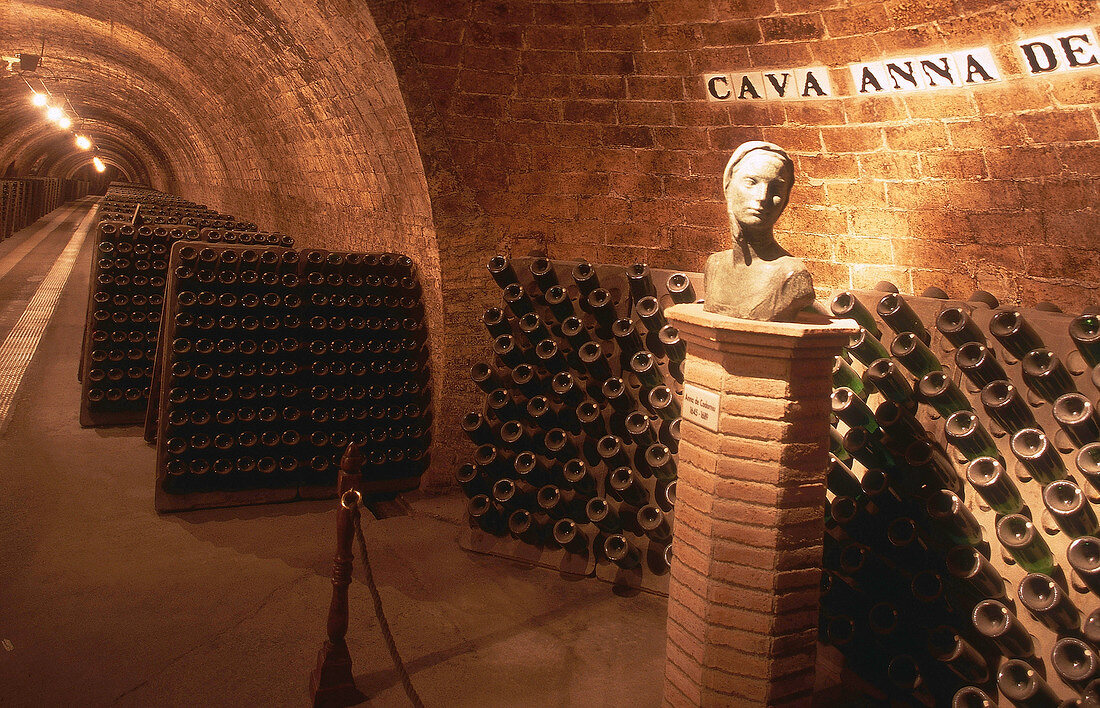 Weinkeller im Weingut Codorniu in Katalonien mit Büste