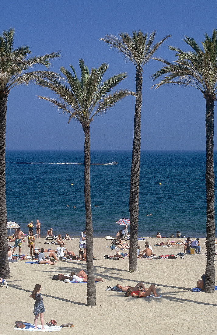 Palm trees and tourists on beach in Barcelona, Catalonia, Spain