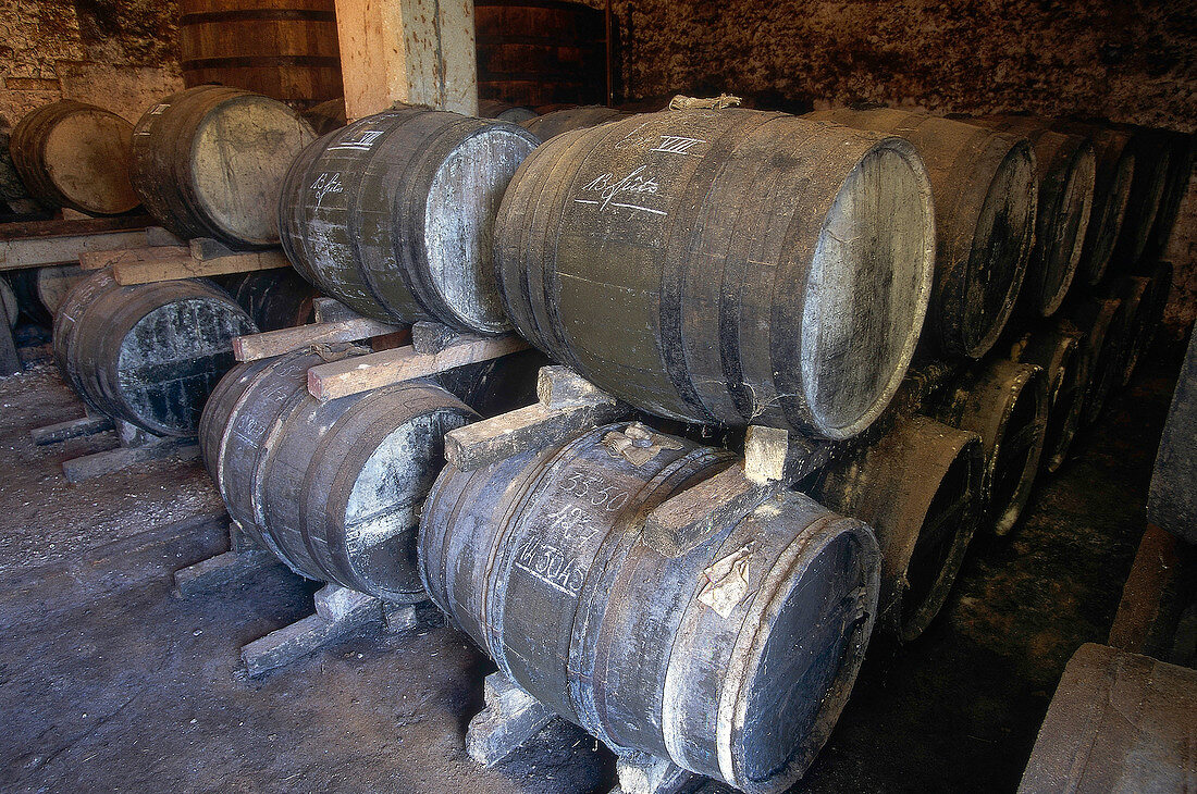 Cognac is stored in barrels