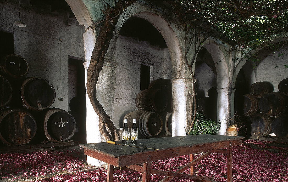 Barrels of sherry in courtyard of Bodega