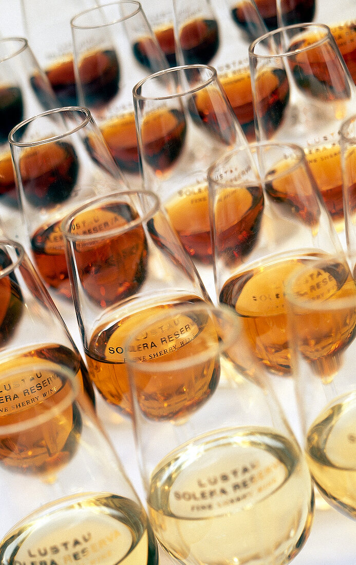 Close-up of fino sherry in glasses