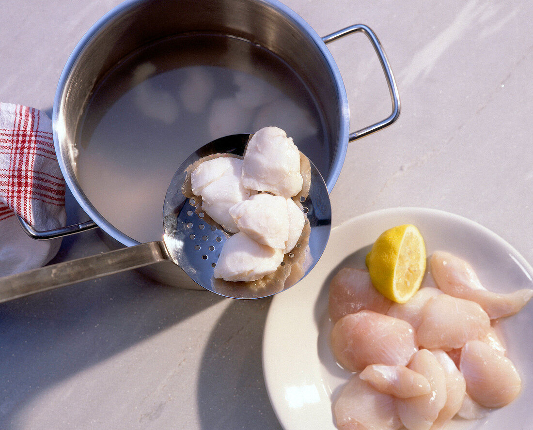 Boiled cod fillet on spoon and on plate, overhead view