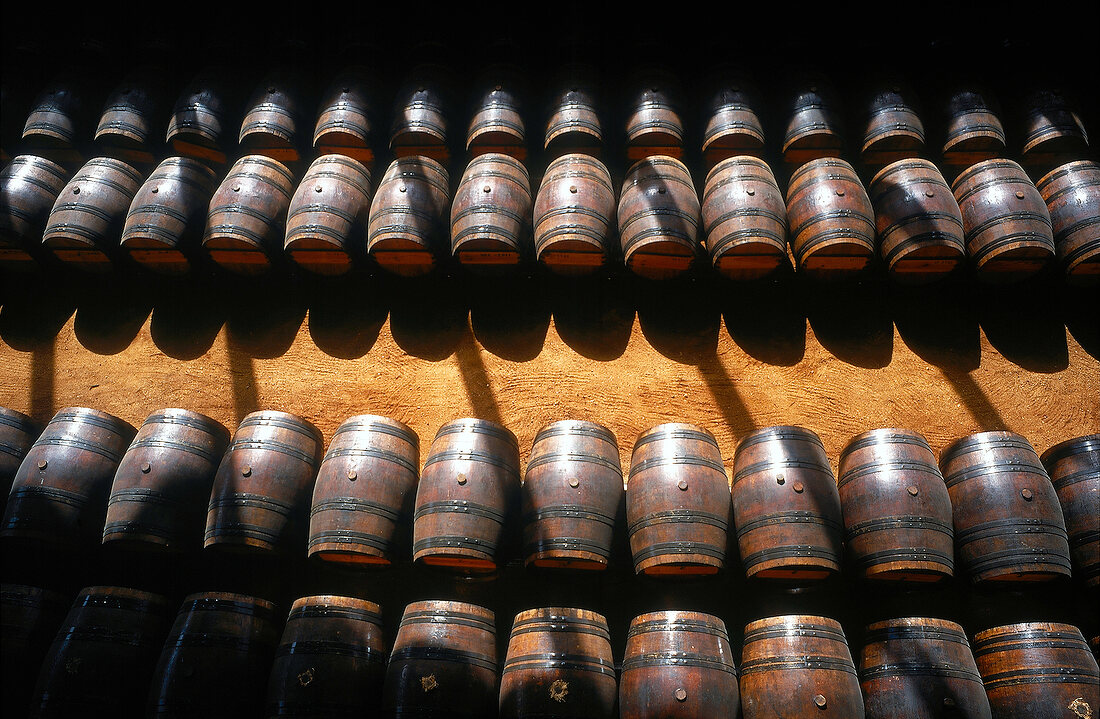 Weinfässer mit Muskateller lagern in portugiesischem Weinkeller