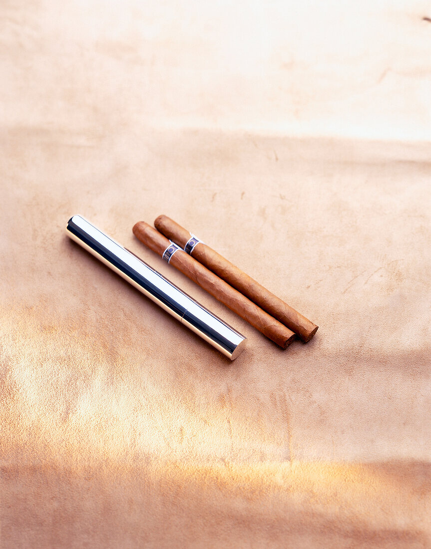 Stainless steel cigar case with two cigars