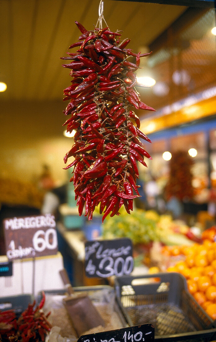 Bunch of hot peppers hanging in market at Budapest, Hungary