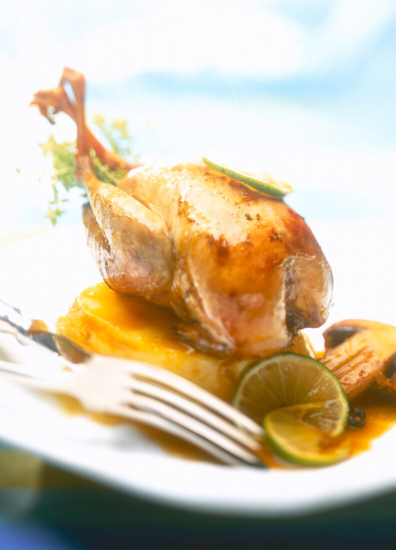 Close-up of partridge with quince and lime sauce on plate