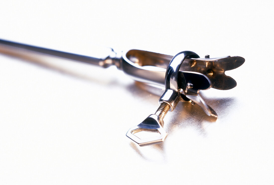 Close-up of leg of lamb holder on white background