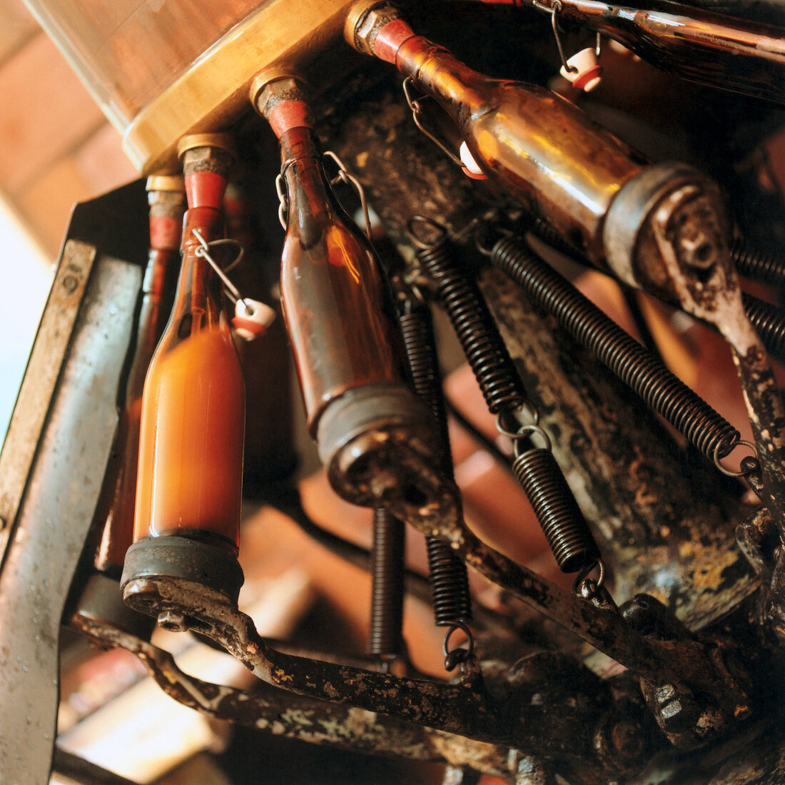 Close-up of beer in flip top bottles