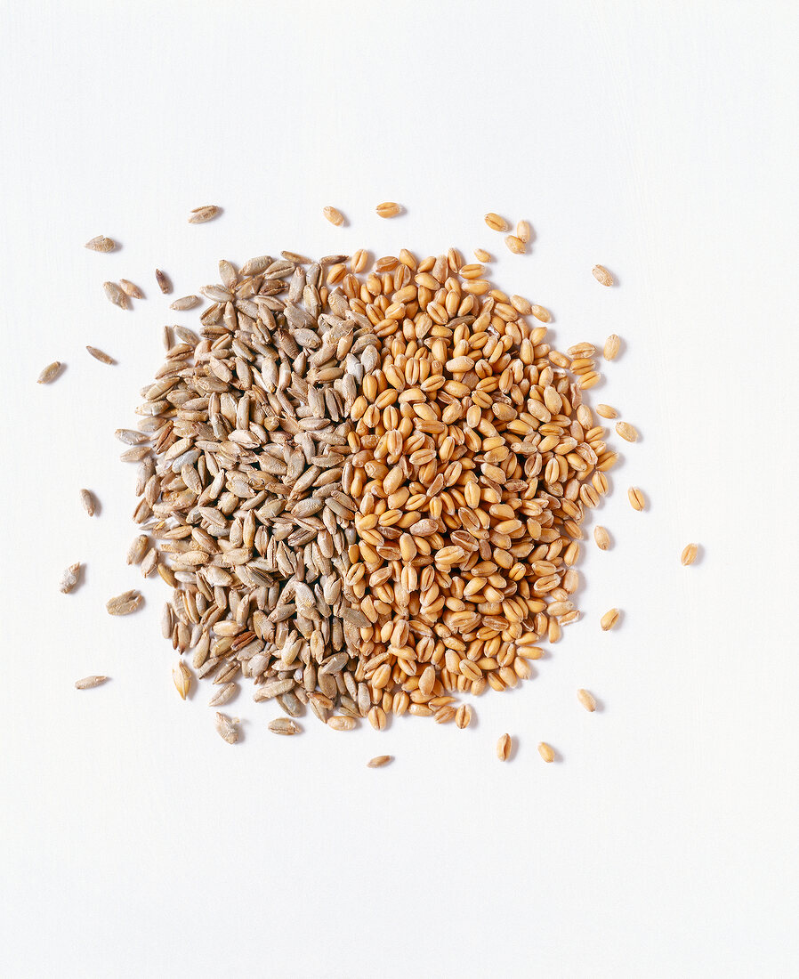 Mixed rye and wheat spread on white background