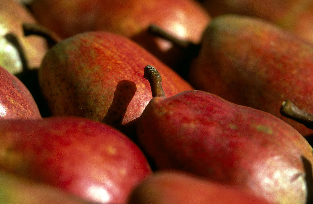 Close-up of pears from France