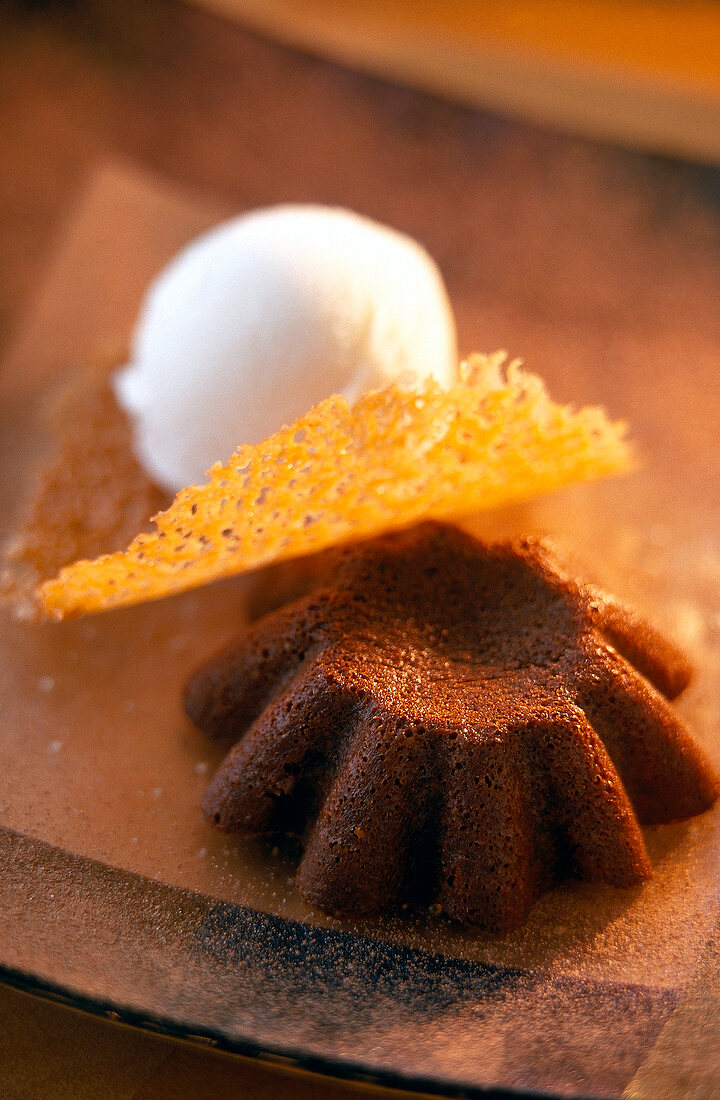 Close-up of chocolate cake with coconut sorbet