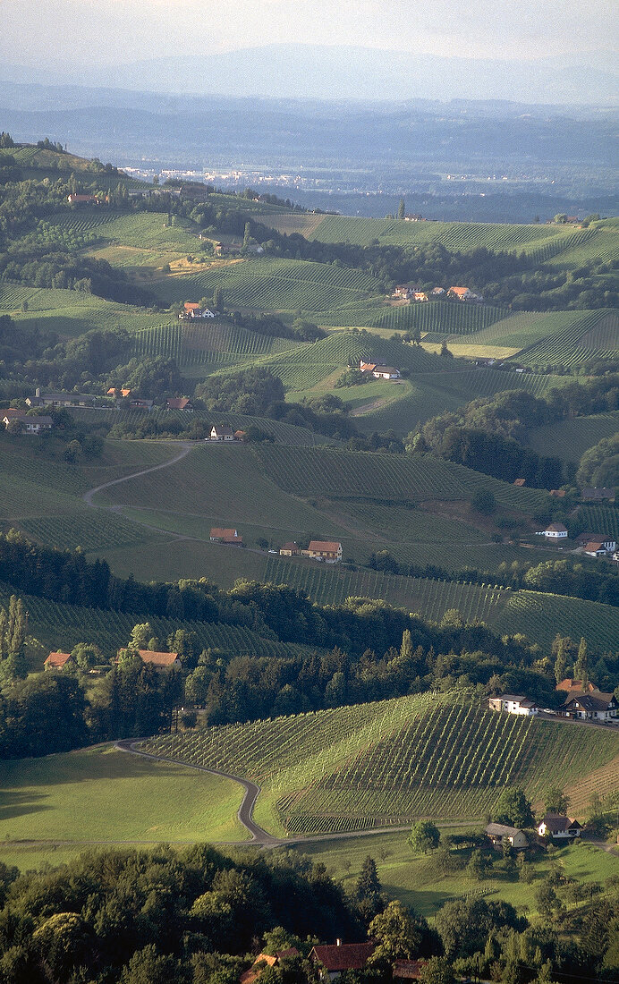 View of hills with lush in Styria, Austria