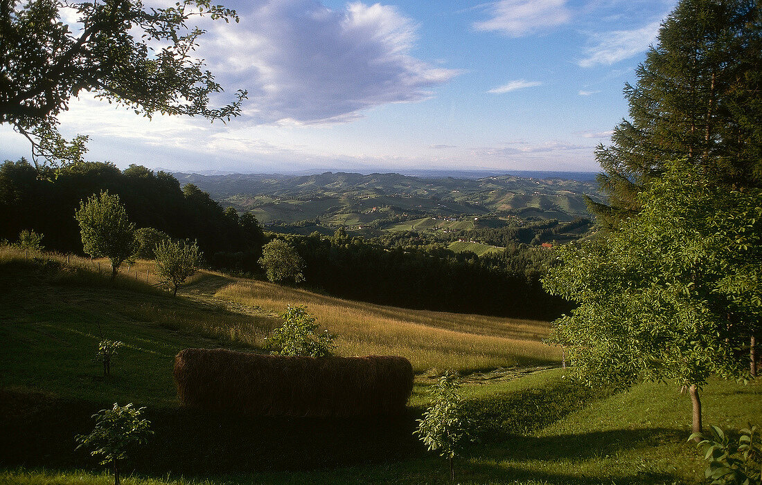 View of hills with lush in Styria, Austria