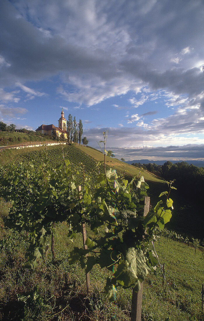 View of landscape with Klopotec, Styria, Austria