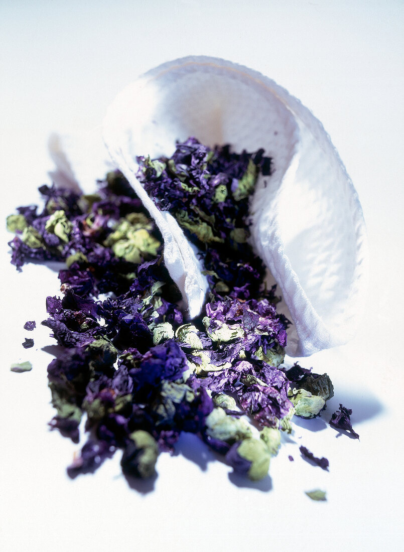 Close-up of dried lavender and white cloth spread on white background
