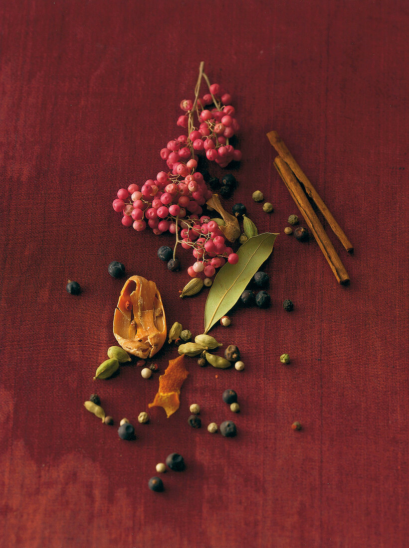 Various spices on red background