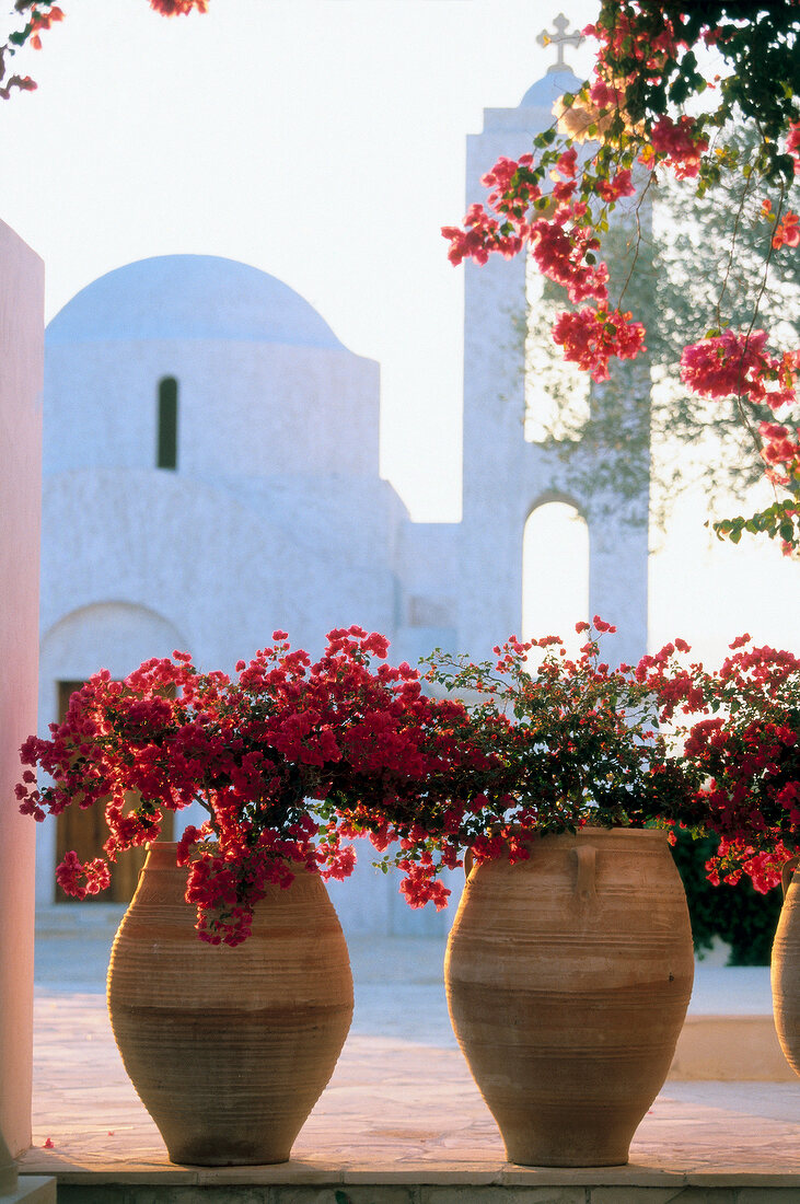 Große Kübel mit rot blühenden Blumen im Hotel "Anassa" auf Zypern