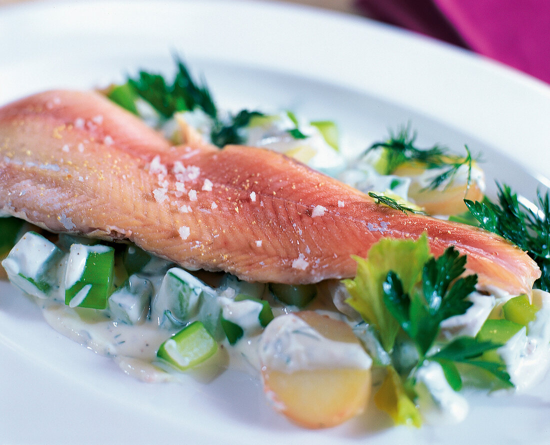 Geräucherter Saibling auf GurkenKartoffel-Salat