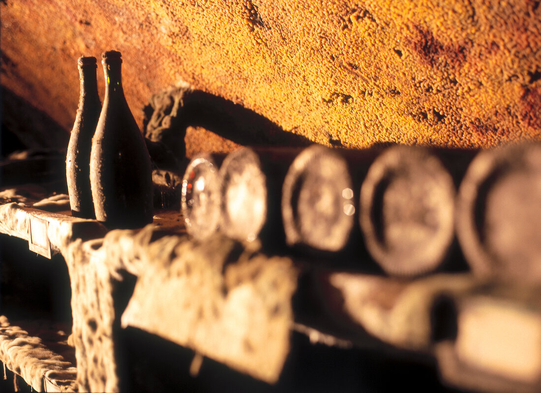 Close-up of dusty wine bottles stored in the cellars of the winery