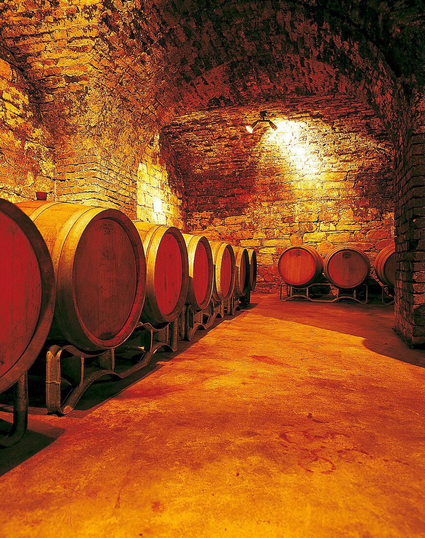 Barriques im Gewölbekeller von 1878 im Weingut Weil