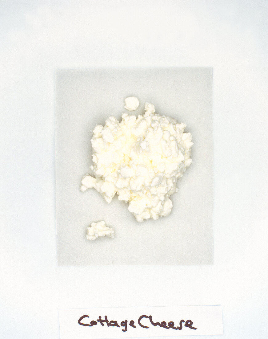 Cottage cheese on white background