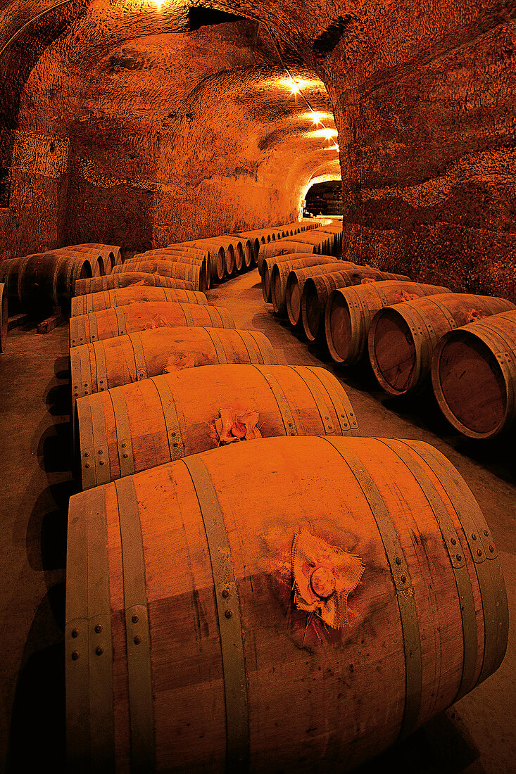 Alte Weinfässer in den Gewölben der Bodega Dehesa la Granja, Region Toro