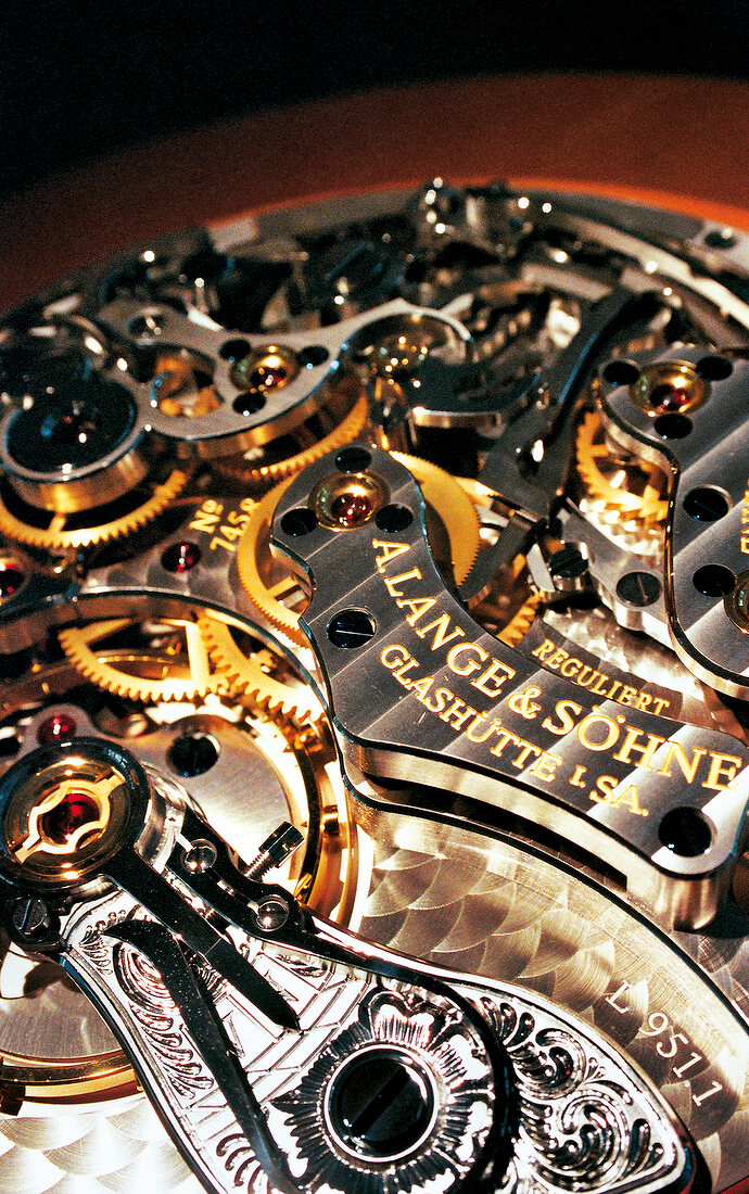 Parts of luxury watch: Raderwerk