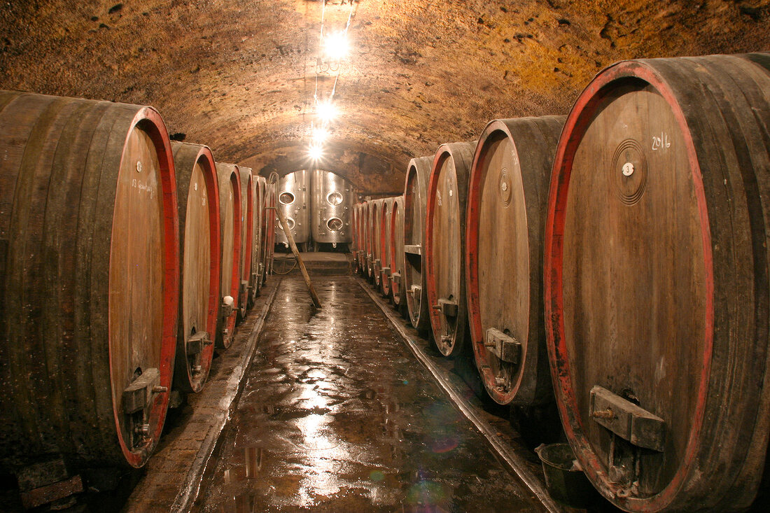 Brennersches Weingut Weingut in Bechtheim Rheinland-Pfalz Rheinland Pfalz