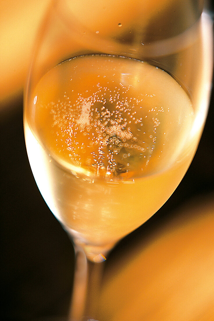 Dom Perignon - Champagnerperlen im Glas