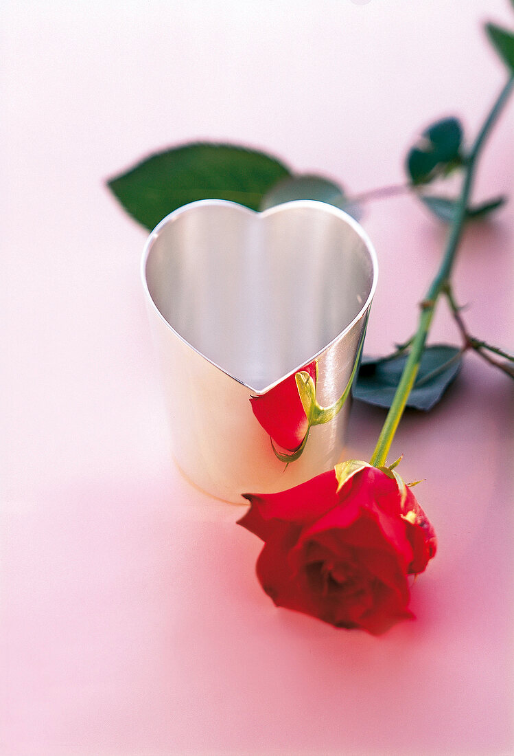 Versilberte Vase "Amour" und eine rote Rose