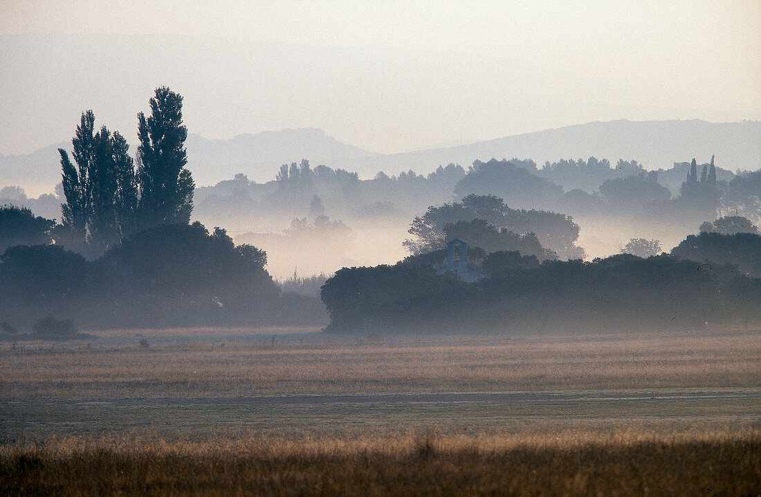 Morning fog over fields in Alpilles, Provence, France