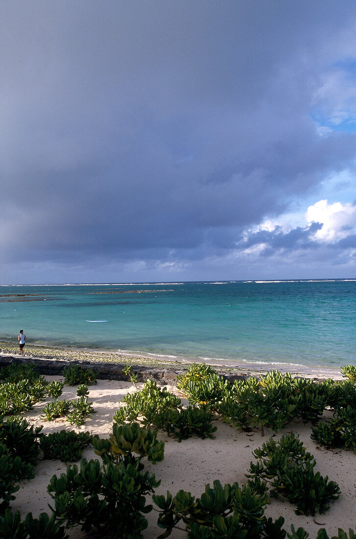 View of beach in Mauritius