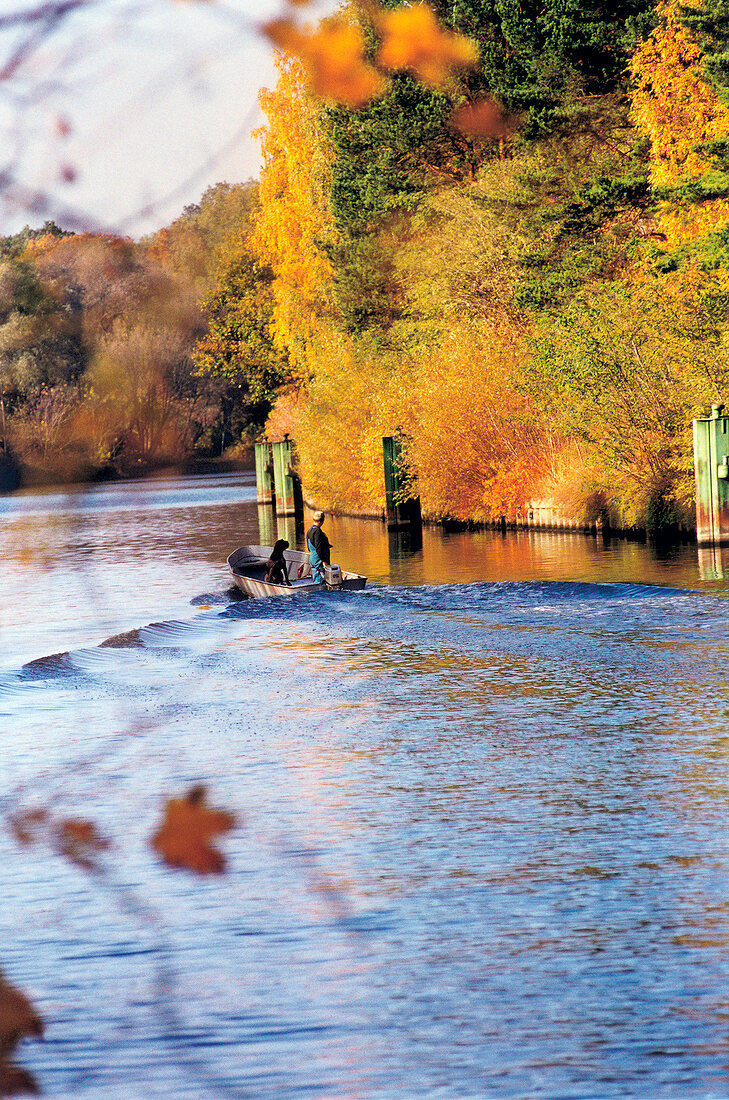 Man with dog on boat in Havel river, Germany