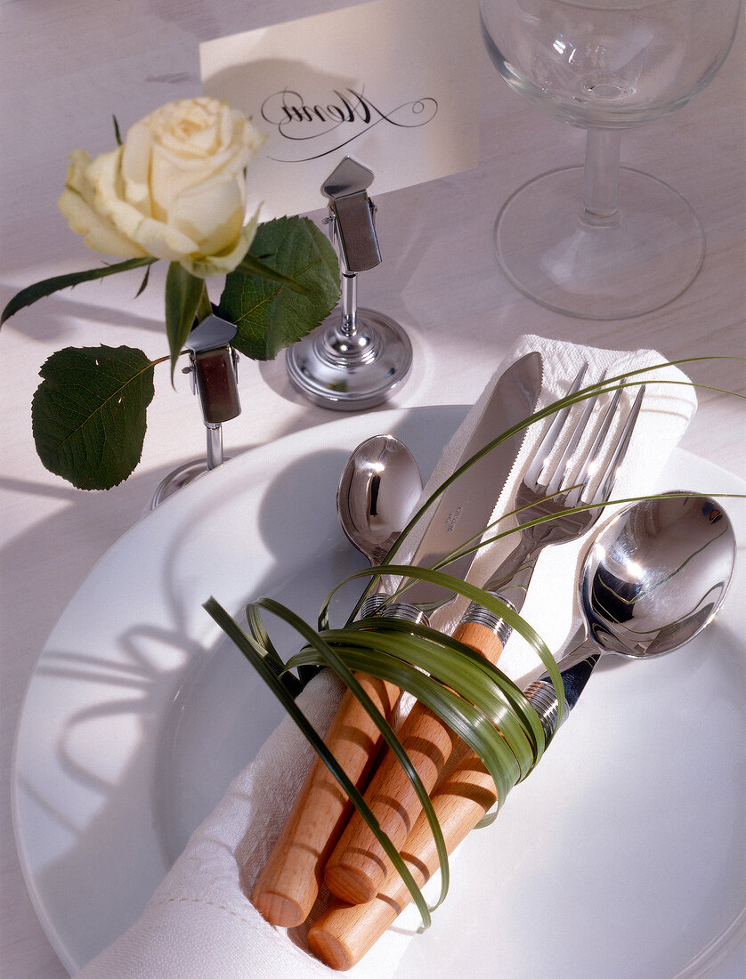Stainless steel cutlery with beech wood handles on plate