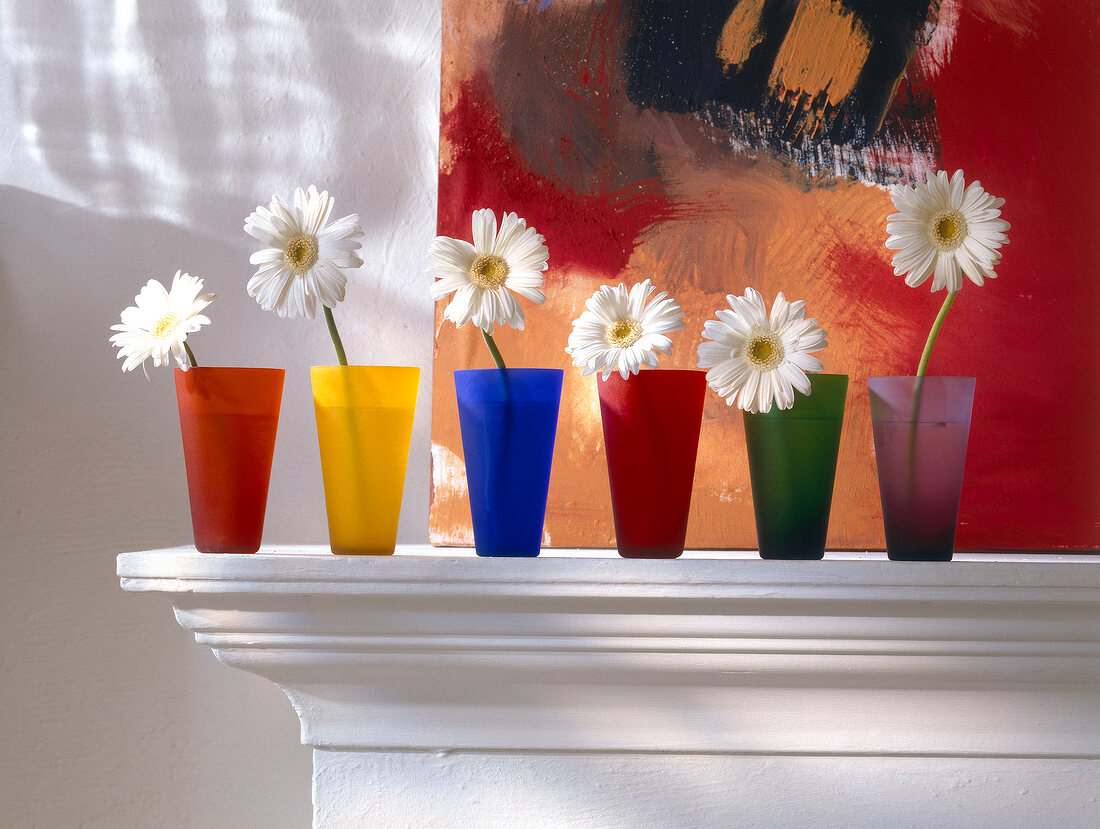 Fresh margaret in colourful vases of satin glass