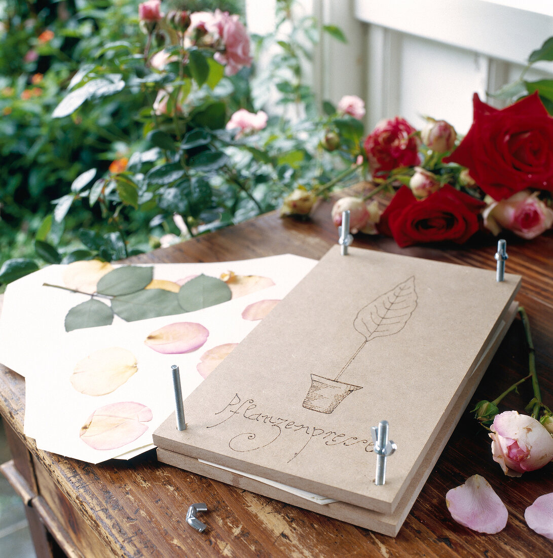 Plant press with rose petals and flowers on table