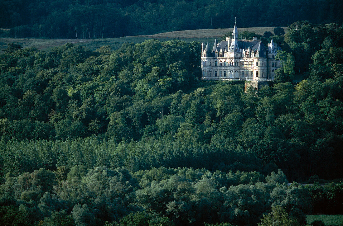 View of Castle of coursault surrounded with trees, Boursault, France