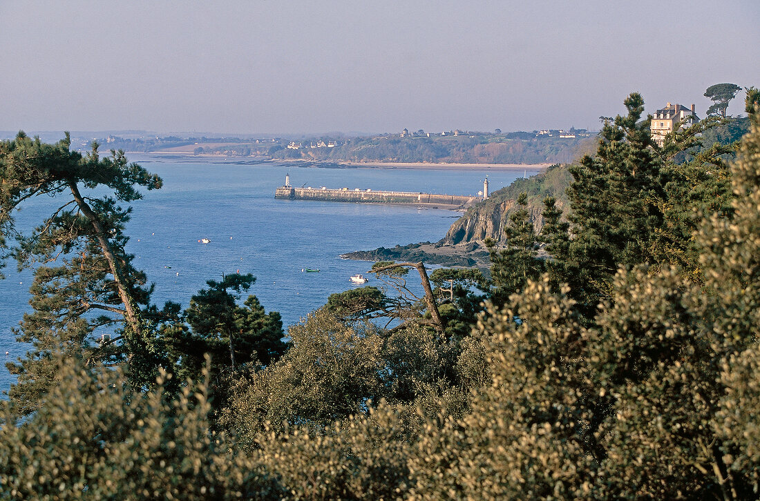 Blick über Bäume auf das Meer und die Küste bei Cancale, Bretagne