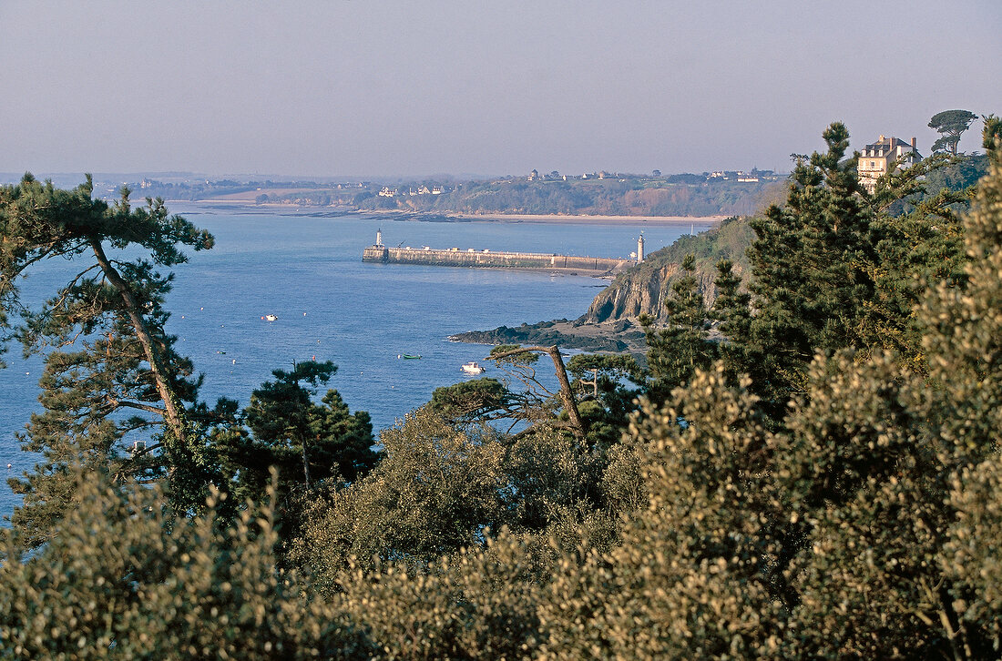 View of trees overlooking sea near Cancale, Brittany, France