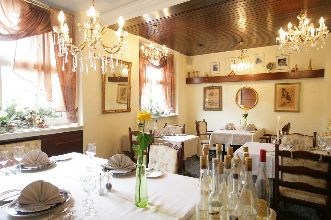 Table laid in restaurant, Germany