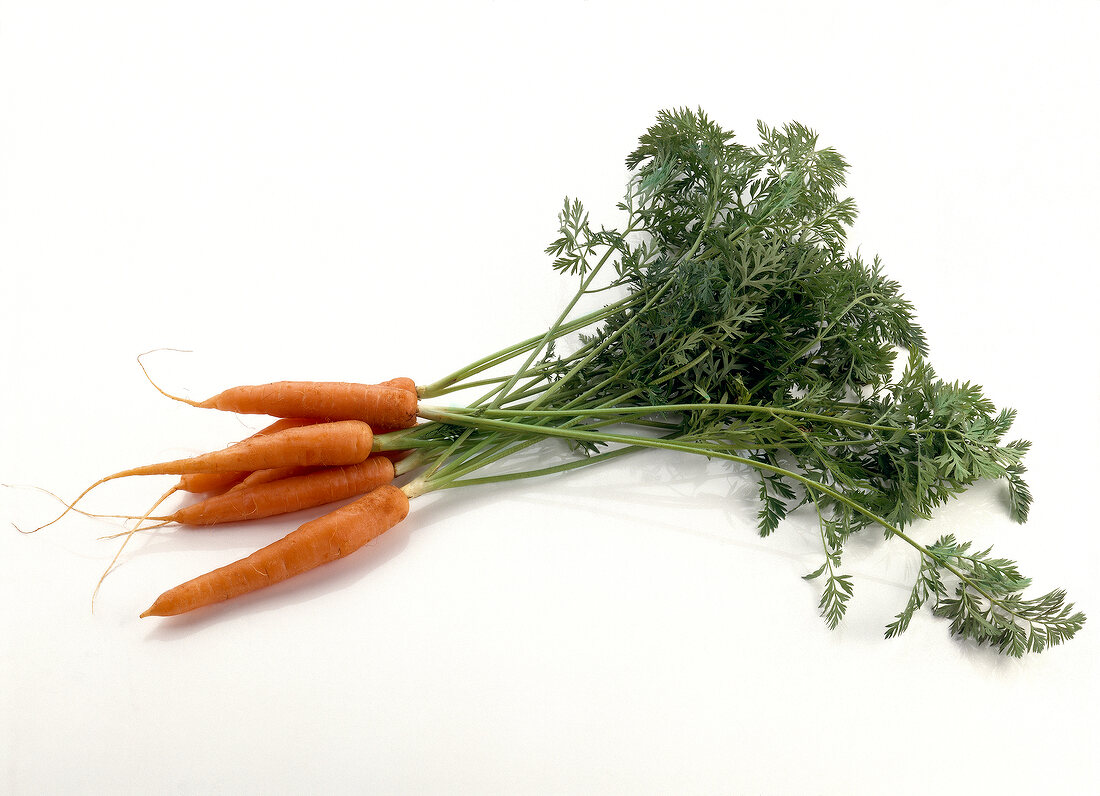 Bunch of carrots on white background